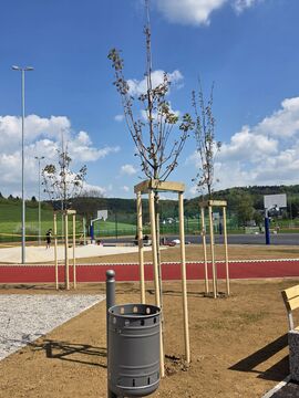 Sportni park Mirna Pec (8)